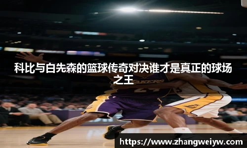 MILE米乐官网